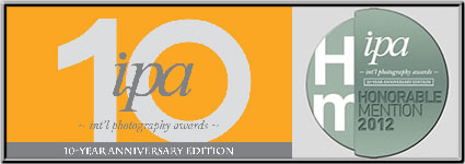 IPA 2012 Honorable Mention Award